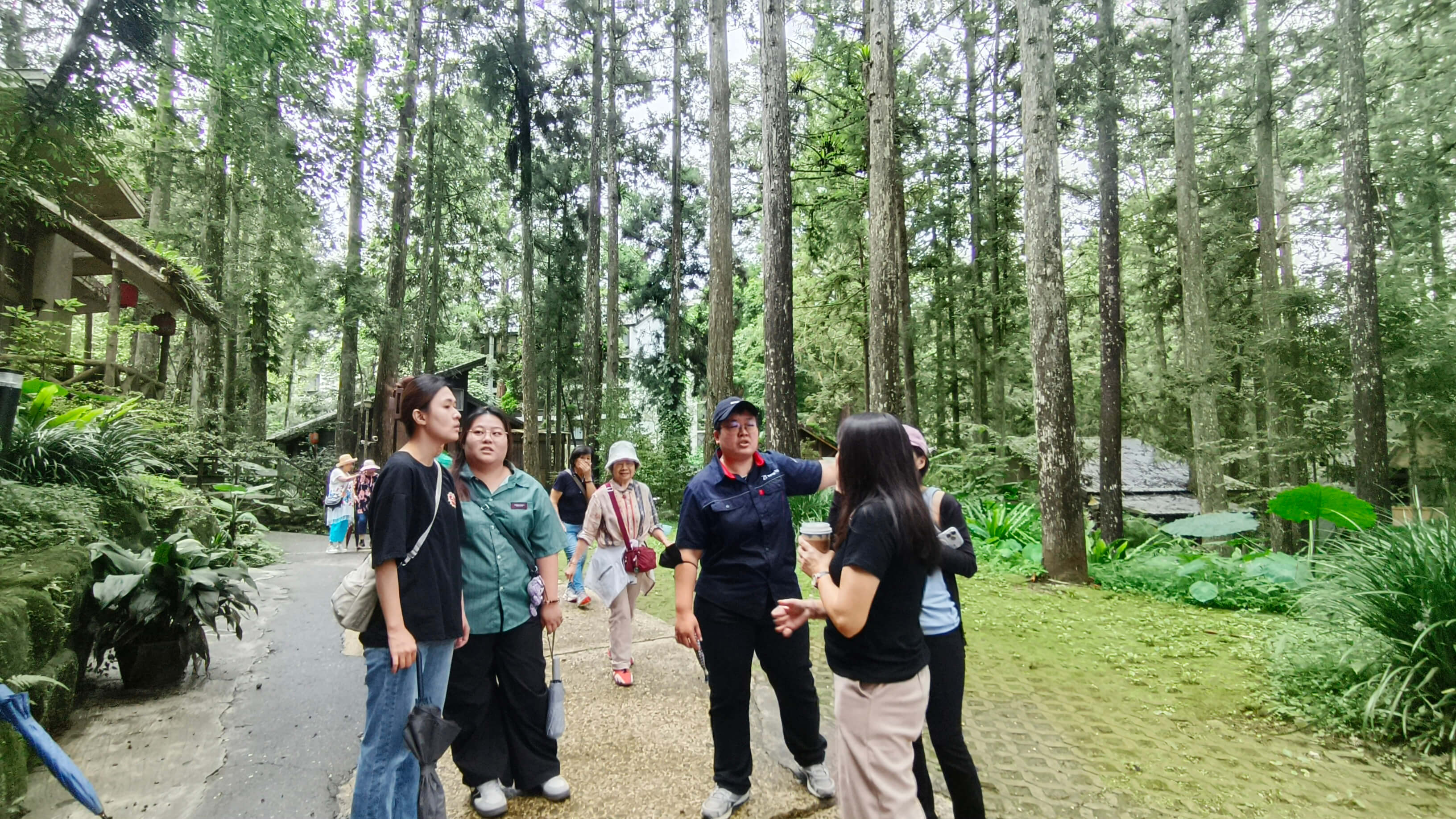 前往南投溪頭明山森林會館進行兩天一夜團隊郊遊營實地場勘