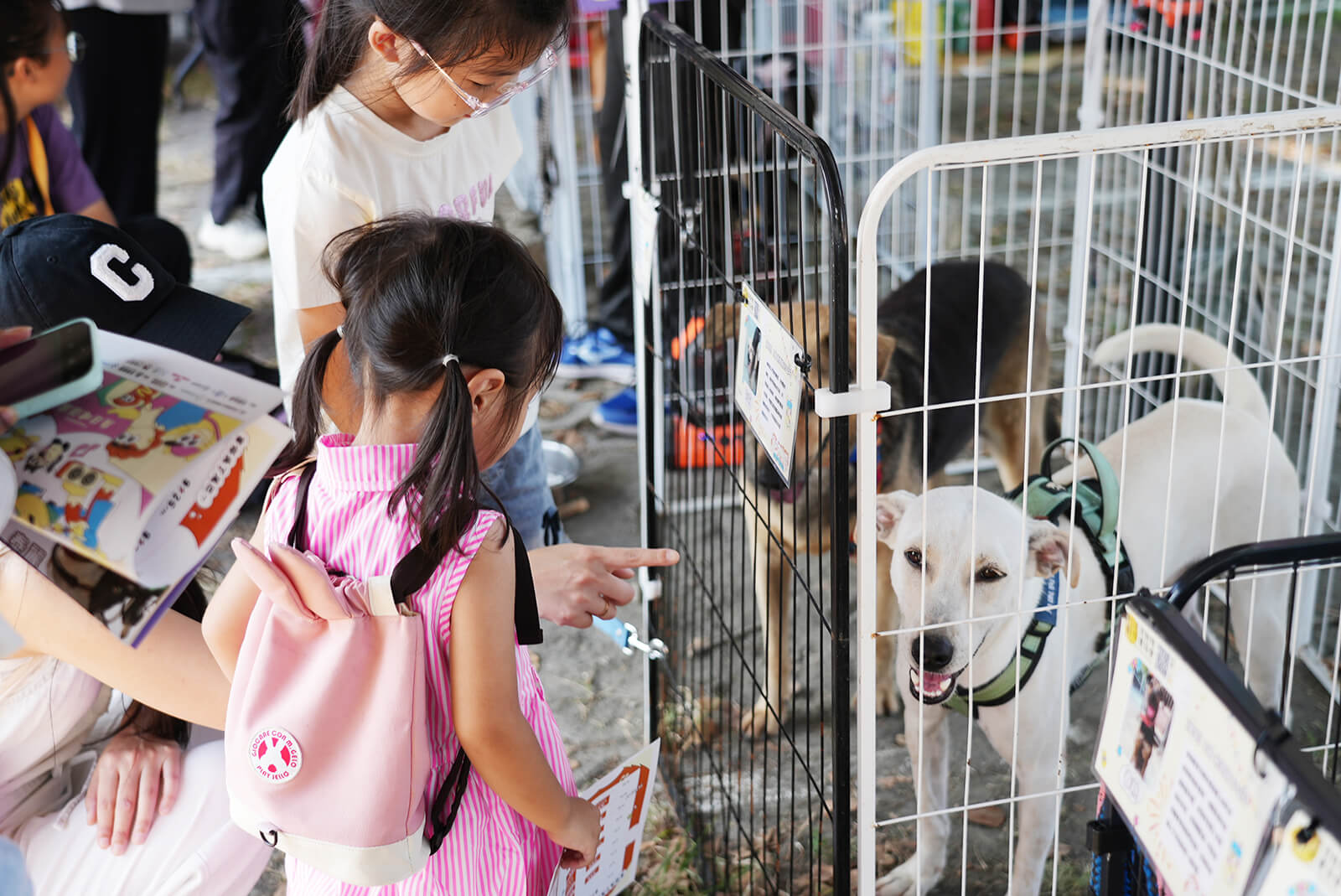 流浪動物認養活動宣導領養代替購買理念，為毛孩尋找溫暖家庭